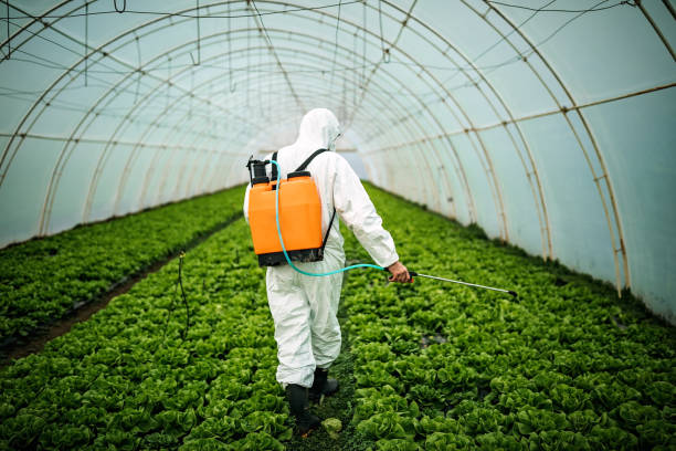 Best Pest Removal Services  in Kittredge, CO