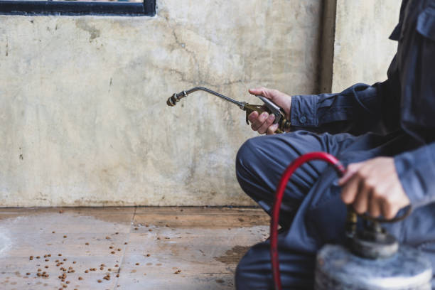 Best Mosquito Control Services  in Kittredge, CO